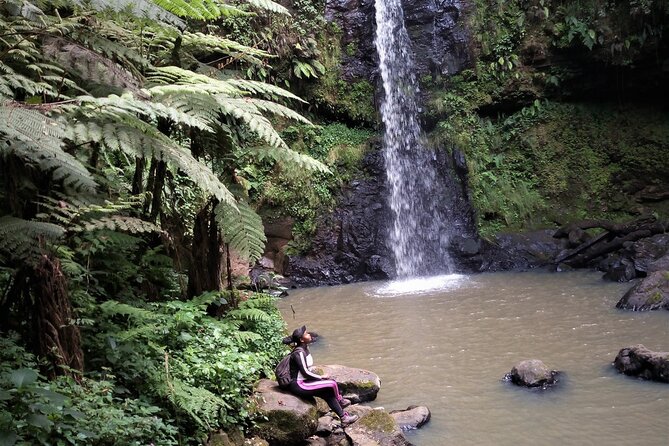 Day Trip to Kereita Forest and Ziplining - Archery and horseback riding: optional skills with set prices