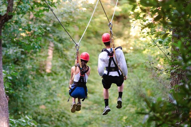 Day Trip to Kereita Forest and Ziplining - The 7:00am Nairobi pickup that keeps the day moving
