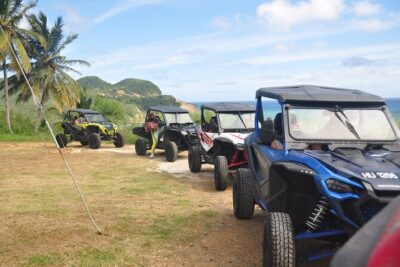 Drive and Fly - Buggy and Zipline - What You Drive: Your 2- or 4-Seater Buggy Ride