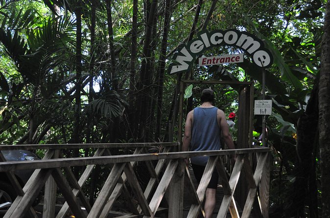 Drive and Fly - Buggy and Zipline - Price and Value: What $225 Buys in One Active Day