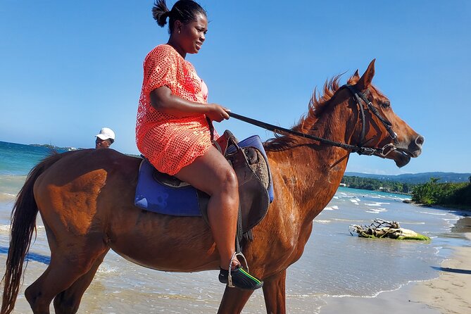 Dunn's River Falls Climb, Zipline and Horseback Riding Private Tour - Comfort and value: why the air-conditioned vehicle matters