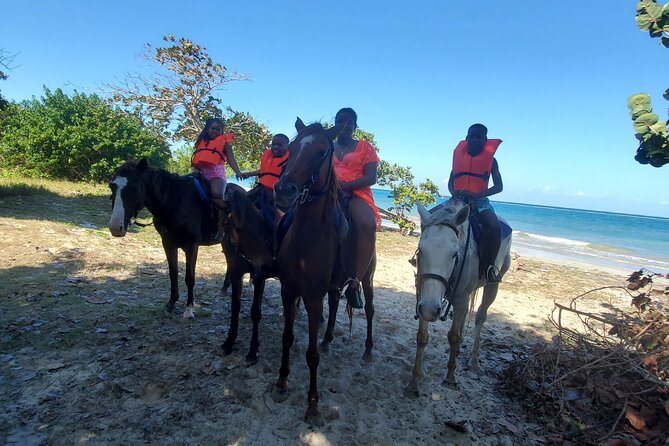 Dunn's River Falls Climb, Zipline and Horseback Riding Private Tour - Dunn’s River Falls climb: terraced steps, walking fun, and a plan for getting wet