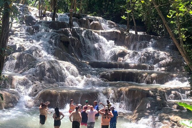 Dunn's River Falls, Zipline Adventure from Kingston - Key highlights you’ll actually feel