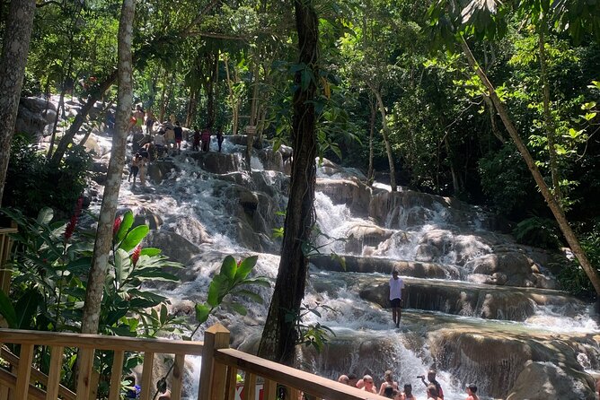 Dunn's River Falls, Zipline Adventure from Kingston - Zipline over Dunn’s River: the part that changes your perspective