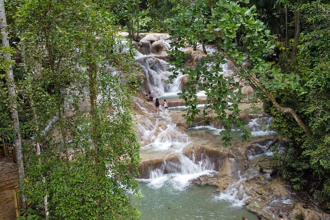 Dunns River Falls, Rafting, Zipline & Horseback from Montego Bay - Scotchies for jerk lunch: simple, satisfying, very Jamaica