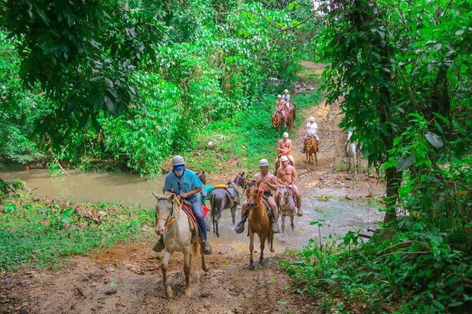 Eco Aventure Park+ Zipline+Horseback Ride+Buggy - Stop 1 at Anamuya: eight carbon-fiber ziplines and a tree suspension bridge