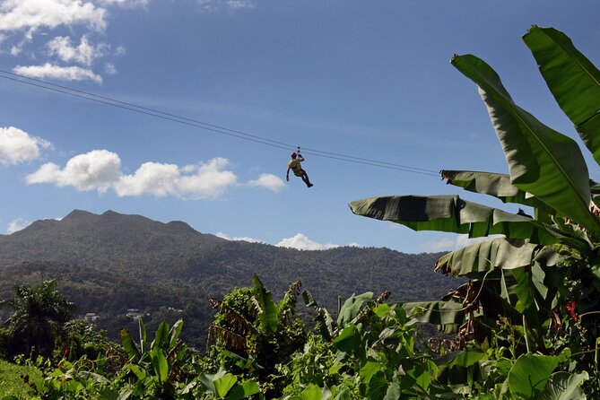 El Yunque Ziplining in Puerto Rico - Key things to know before you go