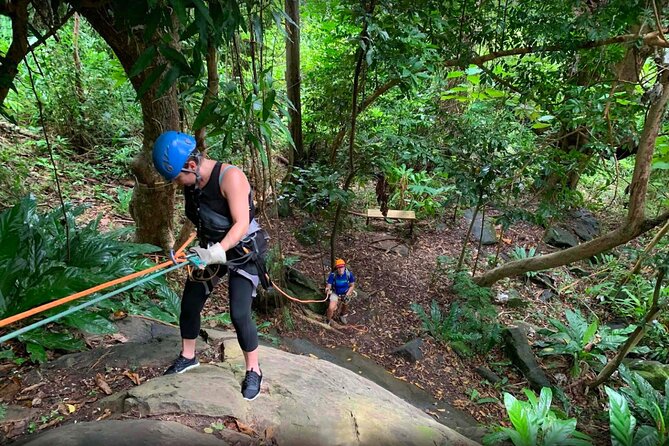 El Yunque Ziplining in Puerto Rico - Price and value: is $149 a fair deal?
