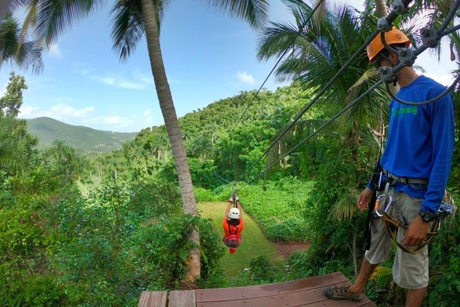 El Yunque Ziplining in Puerto Rico - Who should book this zipline experience in El Yunque