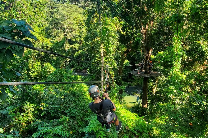 El Yunque Ziplining with River and Beach Visit - Mameyes River Options: Plunge Day, But Only If Conditions Behave