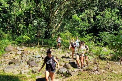 El Yunque Ziplining with River and Beach Visit - El Yunque Canopy Time: Nine to Eleven Lines and Why It Matters