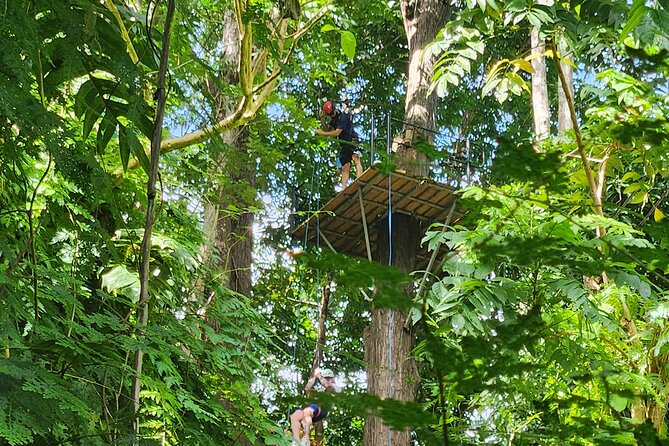 El Yunque Ziplining with River and Beach Visit - Price and Value: Is $188 a Good Deal?