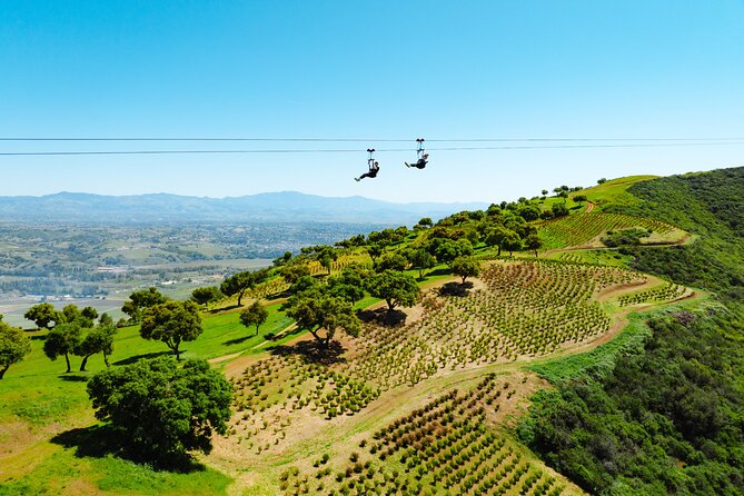 Epic Zipline Tour near Santa Barbara - Why the Epic Zipline Tour Works So Well Near Santa Barbara
