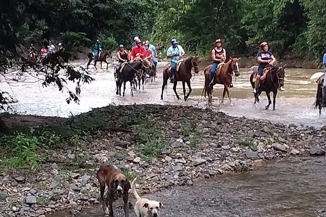 Experience 3 in 1 - Horse Riding, Zipline & ATV Shared - Key things to know before you go