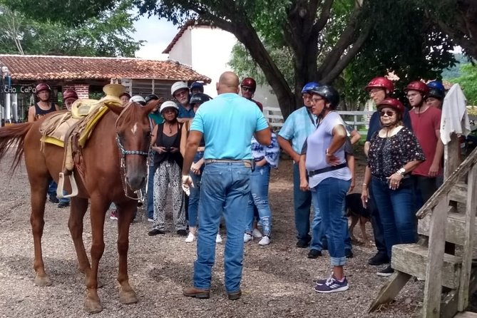 Experience Horse Riding, ATV & Zipline from Puerto Vallarta - Quick Key Points to Know Before You Go