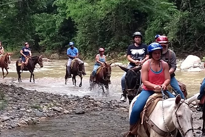Experience Horse Riding, ATV & Zipline from Puerto Vallarta - Zipline Canopy Tour: Flying Over the Trees With 7 Lines