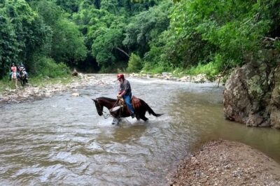 Experience Horse Riding, ATV & Zipline from Puerto Vallarta - ATV Expedition: Jungle Trails, River Splashes, and Real Thrill Time
