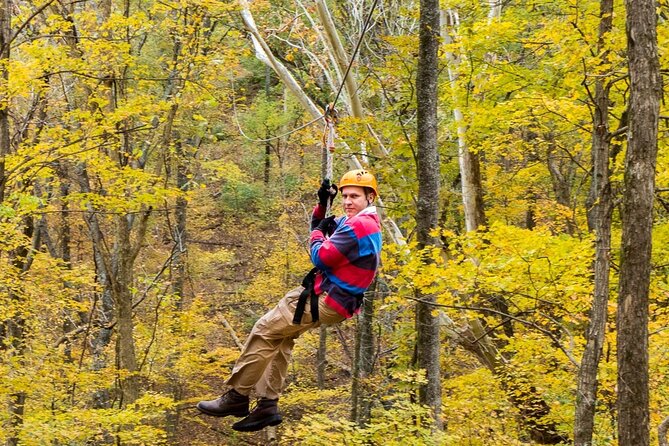 Fontanel Zipline Forest Adventure at Nashville North - The course itself: multiple ziplines over ~1.5 miles