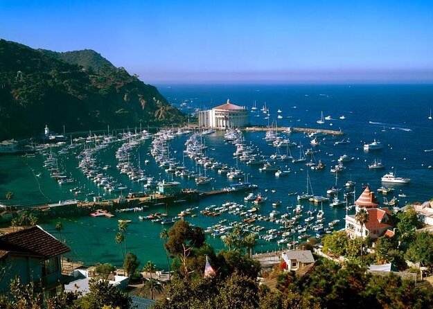 From LA: Catalina Island with Zipline Tour and Hotel Pickup - Key takeaways before you go