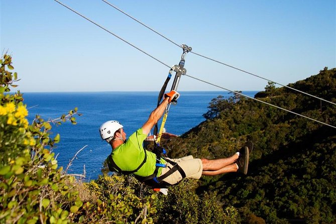 From LA: Catalina Island with Zipline Tour and Hotel Pickup - What to consider if you like flexible sightseeing