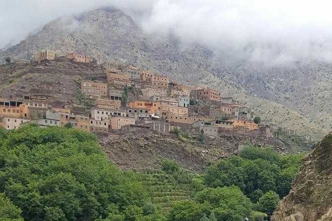 From Marrakesh: Zip-Line & Hike in the Atlas Mountains - Argan tasting and mint tea with the Berebe family