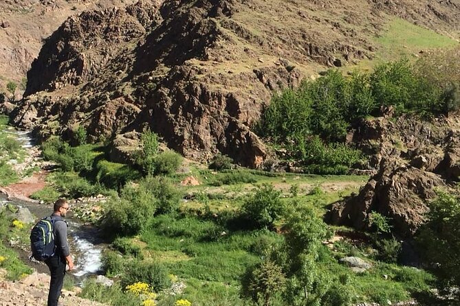 From Marrakesh: Zip-Line & Hike in the Atlas Mountains - Price and value: why $63.90 can work