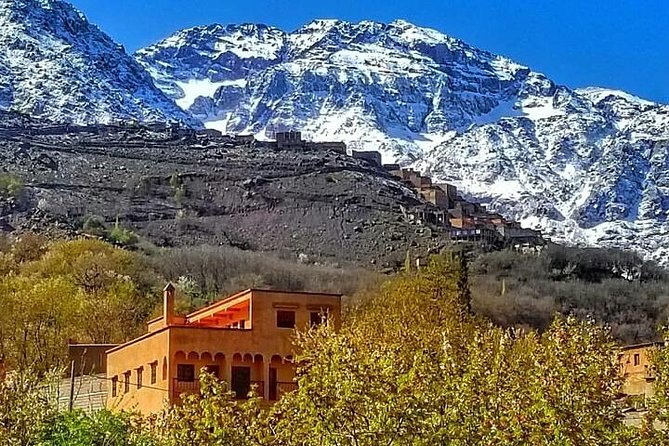 From Marrakesh: Zip-Line & Hike in the Atlas Mountains - Safety briefing and zip-line over pine forests: the main event