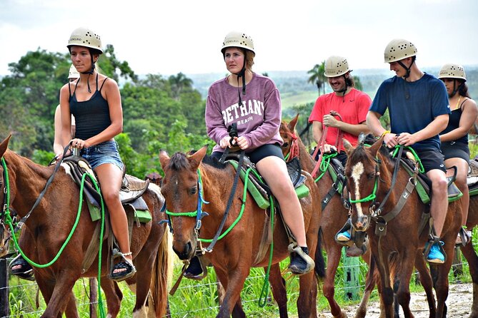 Full-Day La Hacienda Dune Buggy with Zipline & Horseback Activity - The Dominican Home Stop: Cacao, Chocolate, and Coffee Basics