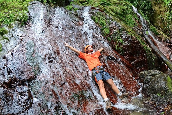 Full-Day Zipline and Waterfall Rappelling Adventure Near San Juan - Key highlights at a glance