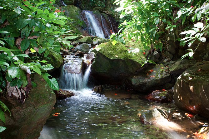 Full-Day Zipline and Waterfall Rappelling Adventure Near San Juan - What to pack for a water-heavy day in Puerto Rico
