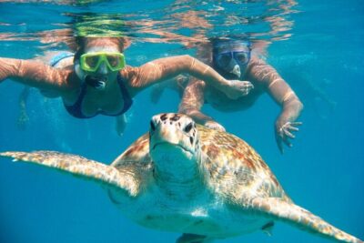 Full-dayTurtle Adventure: ATV, Zipline, Cenote & Turtle Swim - Getting there the real way: Super Aki meeting point and pickup timing