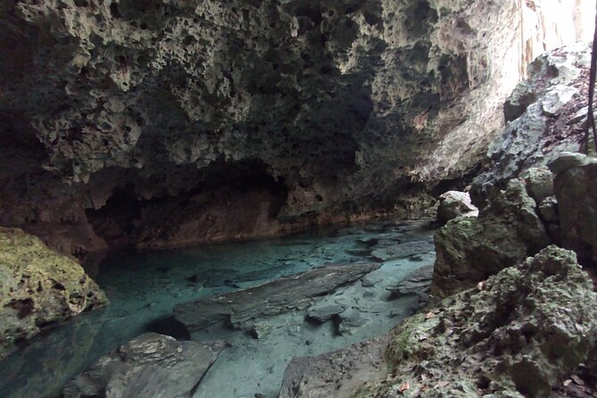 Full-dayTurtle Adventure: ATV, Zipline, Cenote & Turtle Swim - Turtle swim in a natural sanctuary: the finale that earns its hype