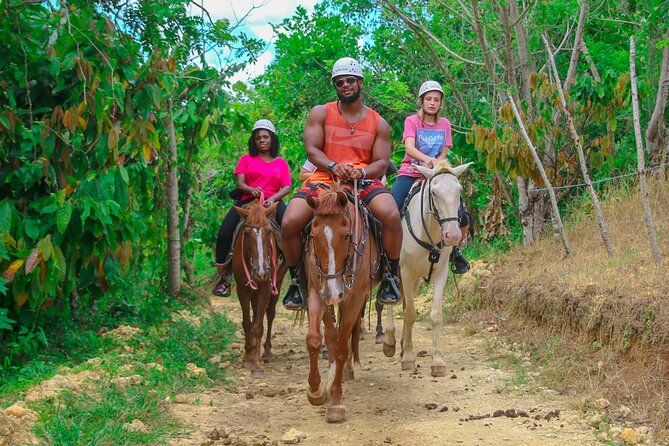 Full Pack Buggies + Horses + Zip Line + Food in Punta Cana - Price and Value: Is $114 Worth It?