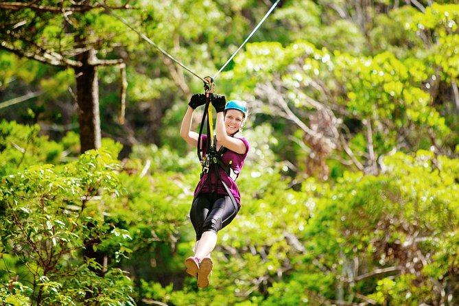 Gold Coast Canyon Flyer Zipline Tour - Key Highlights (Why You’ll Care)