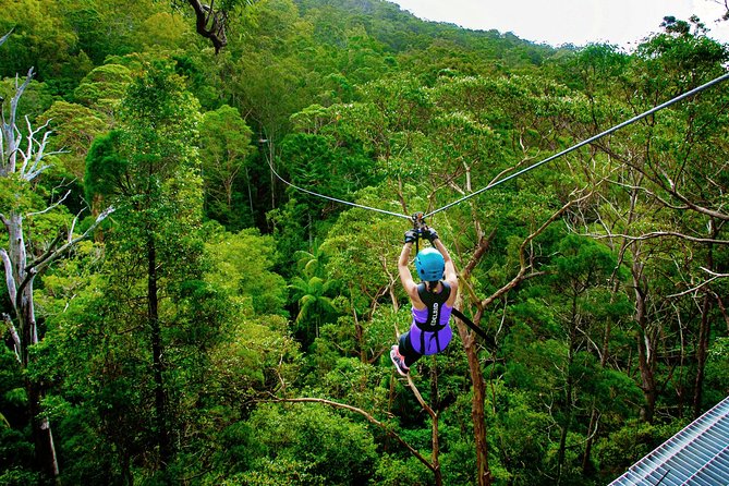 Gold Coast Canyon Flyer Zipline Tour - Canyon Flyer on Mount Tamborine: What You’re Really Flying Over