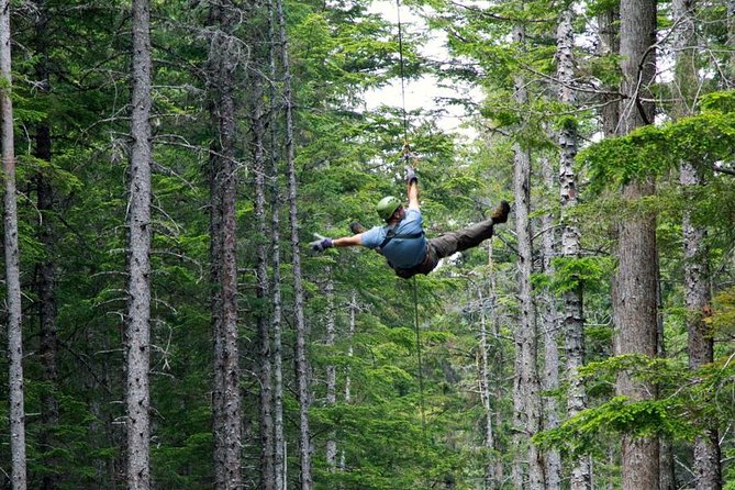 Grizzly Falls Ziplining Expedition - Skagway’s Unimog ride to Dyea: where the day starts