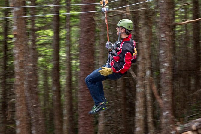 Grizzly Falls Ziplining Expedition - Suspension bridges: photos you can actually brag about