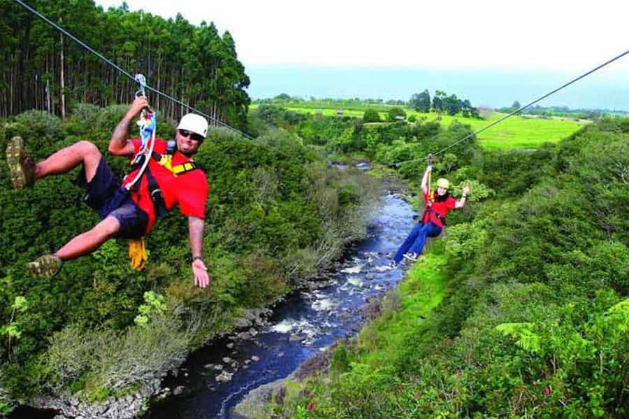 Hakalau: 9-Line Zipline Adventure with Umauma Falls View - Check-In at the Umauma Falls Zipline Experience Visitor Center