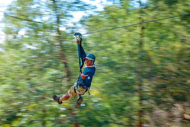 Haleakala 6 Line Zipline Adventure - Quick take: what matters most