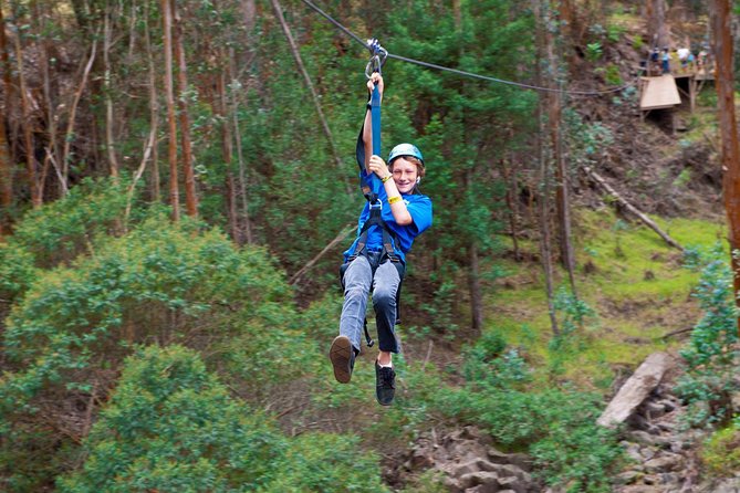 Haleakala 6 Line Zipline Adventure - 2 Hours of Motion: How the Adventure Really Feels