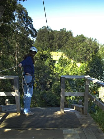 Haleakala 6 Line Zipline Adventure - Price vs. Value at $157.02: Is It a Good Deal?