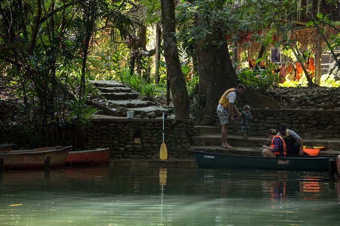 Half-Day Barton Creek Cave with Optional Zipline, Butterfly Farm Or Rock Falls - Optional add-on 2: butterfly farm and botanical garden (pretty, calm, and photo-friendly)