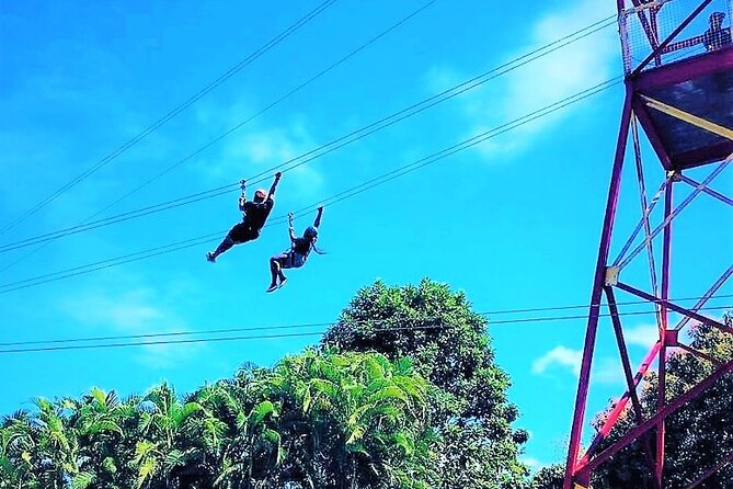 Half Day Tour in Rainforest Zipline Park with Transportation - Key points before you go