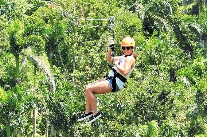 Half Day Tour in Rainforest Zipline Park with Transportation - Views Over El Yunque: What to Look For Mid-Flight