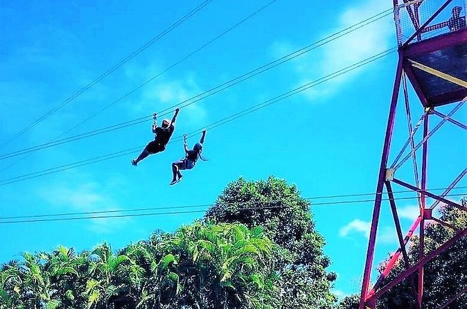 Half Day Tour in Rainforest Zipline Park with Transportation - Comfort Tips That Actually Help (Old Shirt, Shoes, Water)
