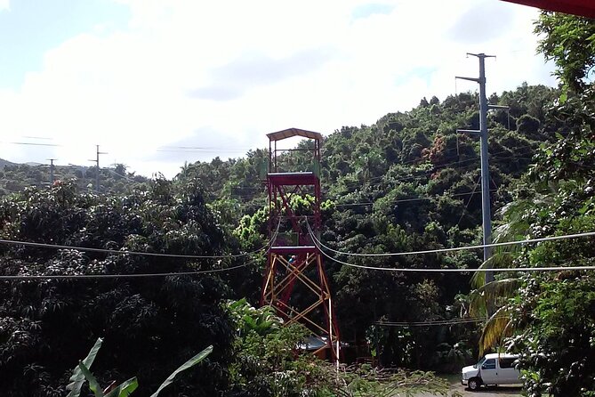 Half Day Tour in Rainforest Zipline Park with Transportation - Weather, Time, and Expectations: How to Avoid the Common Friction