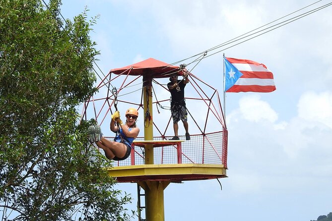 Half Day Tour in Rainforest Zipline Park with Transportation - Getting There: The Shuttle Ride Through Puerto Rico (And Why It Matters)