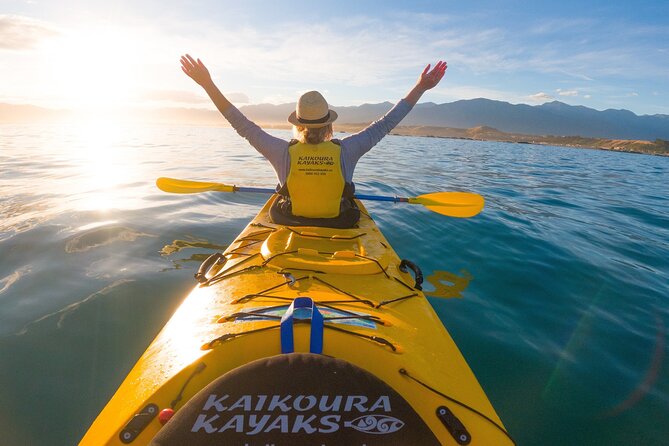 Half Day Zipline Adventure in Kaikoura - Seeing the South Island from the skies: why the Kaikōura setting works