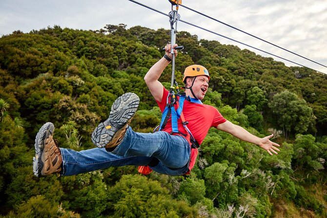 Half Day Zipline Adventure in Kaikoura - Price and value: is $123.49 worth your time