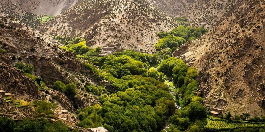 Half day Zipline out of marrakech city with breakfast - Should You Book This Half-Day Zipline With Breakfast?